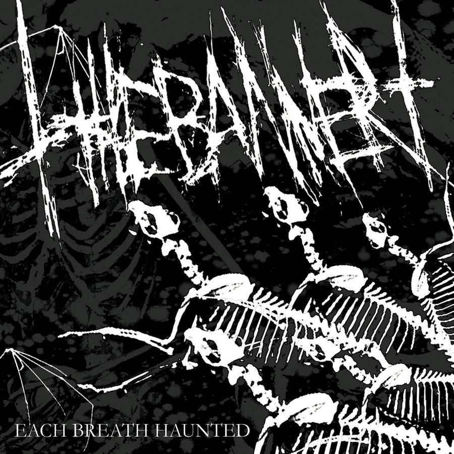The Banner - Each Breath Haunted
